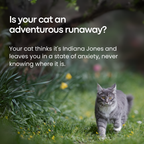 Localizador GPS para gatos sin suscripción – Legends