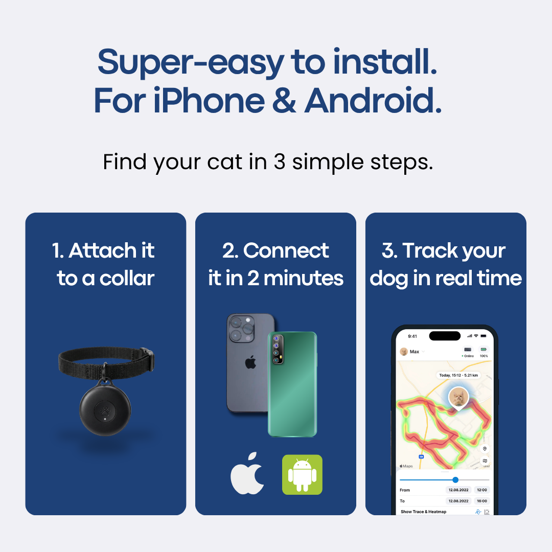 Localizador GPS para gatos sin suscripción – Legends