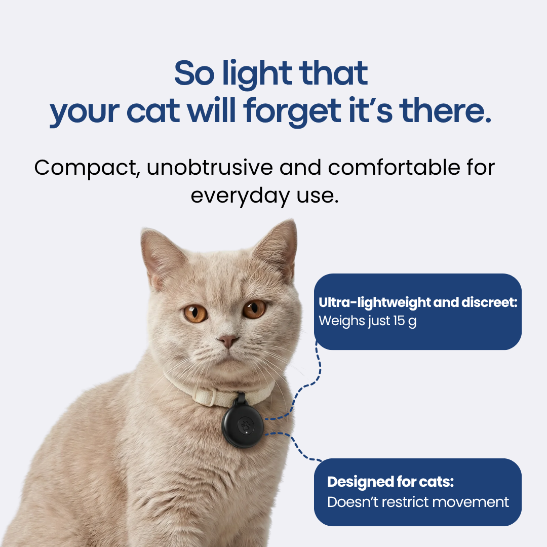 Localizador GPS para gatos sin suscripción – Legends